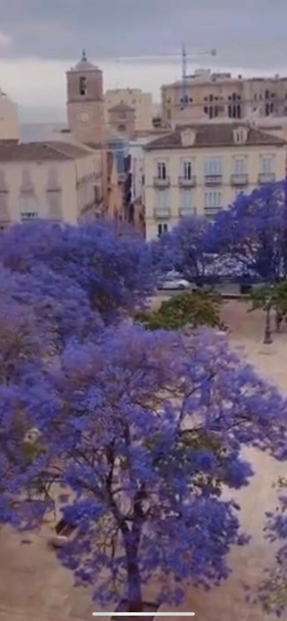 Apartamento—Centro Parking Gratis Grupos Màlaga Exteriér fotografie